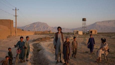 Taliban-Herrschaft: Blüten, wo sonst nur Staub ist