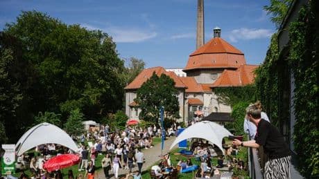 Z2X: Alle Informationen zum Z2X-Festival 2025