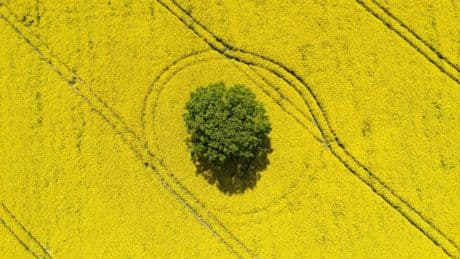 Warum sich Ackerland als sichere Geldanlage lohnt