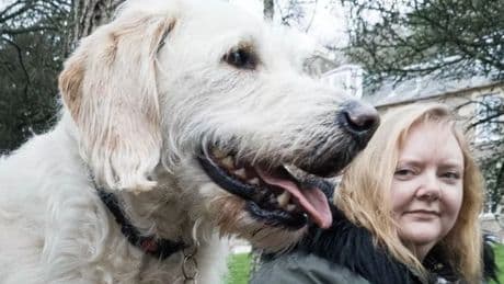Dumfries and Galloway residents asked to provide home for aspiring guide dogs