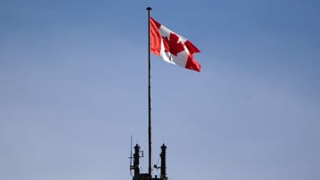 Canada-Europe defence ties can link ‘club of countries,’ says German envoy