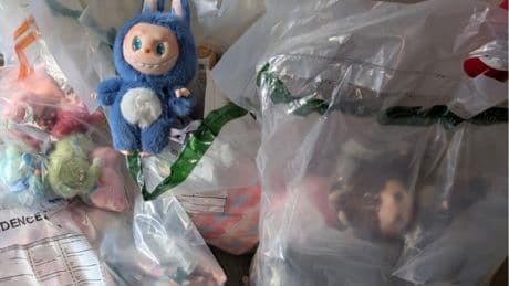 More than 100 fake Labubu dolls seized in Moray