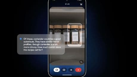 Google&#8217;s Gemini Live AI assistant will show you what it&#8217;s talking about