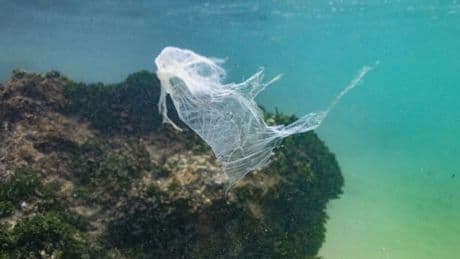 UN-Plastikabkommen: 184 Staaten treffen sich in Genf für letzten Verhandlungstag