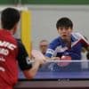 Tennis de table. Nouvelle salle, recrues internationales… Ouistreham, un club qui monte en Normandie