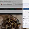 Werbung ausblenden: uBlock Origin Lite kommt erstmals für Safari