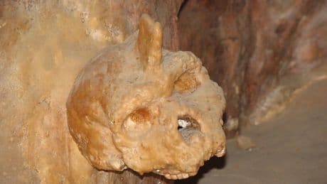 El misterioso cráneo de 300.000 años encontrado en una cueva y que no es humano ni neandertal