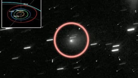 Interstellar object spotted carrying mysterious companion that points to 'technological design'