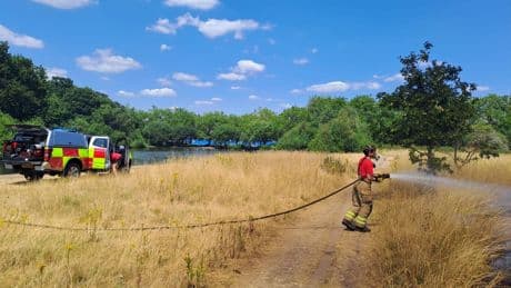 Firefighters tackle blaze in London park as brigade issues wildfire warning