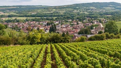 Bourgogne : où acheter une résidence secondaire à la campagne ? Notre classement 2025