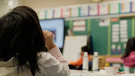 Millions of US kids attend schools in dangerous ‘urban heat zones,’ analysis finds