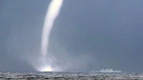 Navimeteo, la nuova frontiera della meteorologia marina ha sede a Chiavari