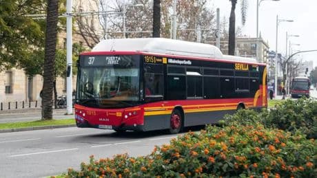 Sevilla renovará su flota con 70 autobuses de BYD, Iveco, Solaris, MAN y Daimler