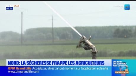 Nord: les agriculteurs s'en remettent à l'irrigation pour contrer la sécheresse