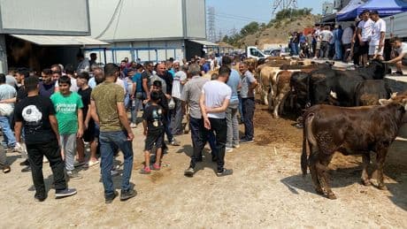 İzmir'de kurban kesim noktalarında yoğunluk