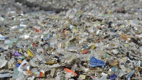 Plastiksiz Türkiye Platformu’ndan çağrı: Plastik kirliliğine karşı acil eylem
