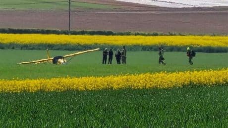 Paul Hollywood rushes to help pilot after terrifying plane crash