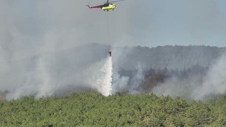 Bolu'daki yangın tamamen kontrol altına alındı: 2 gözaltı