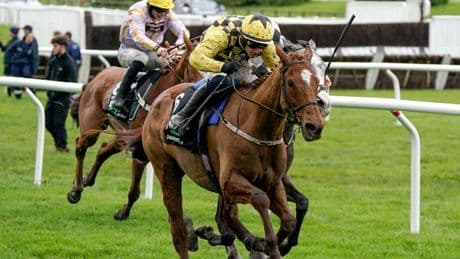 Horse racing tips: Four to follow at the Punchestown Festival and Newmarket on Friday