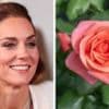 Rose named after Princess of Wales to celebrate 'power of nature'