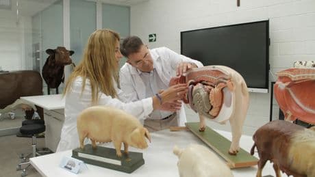 La única universidad de Murcia que está entre las 25 mejores de España, según la lista de Forbes