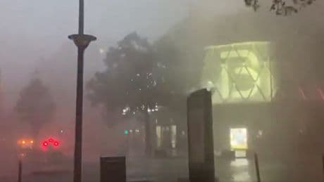 Arbres couchés, quais inondés, rafales de vent à 90 km/h... Les images du violent orage qui a frappé Paris