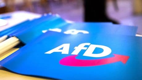 39 Prozent in Sachsen-Anhalt - Umfrage-Beben befeuert Debatte um AfD-Verbot!