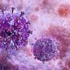 Doctors make breakthrough in HIV cure search: 'We've never seen anything close to as good'