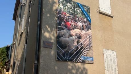 La 42e foire agricole d'Ongles dans les Alpes-de-Haute-Provence se prépare