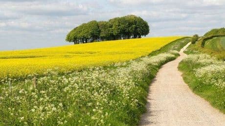UK's oldest road that's 87-miles long and was used by travellers 5,000 years ago