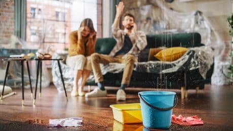 Leur achat immobilier vire au cauchemar, la justice écarte la responsabilité de l’agent immobilier