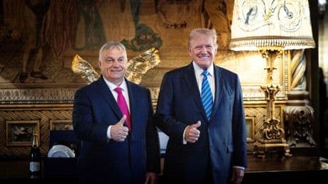 Politische Bücher: Nationalistisch, aber international vernetzt
