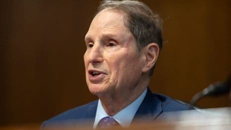 Top Democrat demands Trump’s IRS investigate Epstein bank records in sprawling probe: ‘Follow the money’