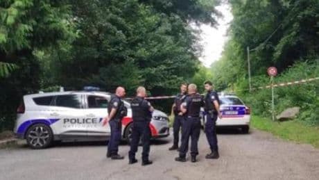"Sgozzato, eviscerato e disposto a forma di croce” in un parco. Mistero in Francia