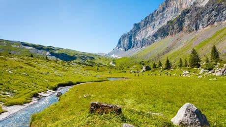 Week-end à la montagne : nos 10 idées de séjours en été dans les Alpes
