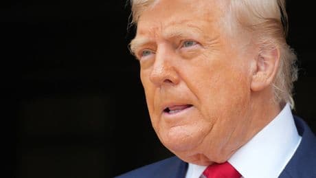 ‘Pretty substantial distraction’: Trump annoyed Epstein is dominating agenda but won’t create ‘spectacle’ with firings