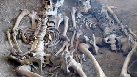 Chilling secret of mass ‘gangland-style executions’ finally revealed as experts analyse over 50 Iron Age skeletons