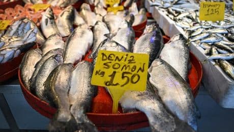 Une croissance extraordinaire de 1.500% depuis 2018: comment la Russie est train de faire de la Turquie un mastodonte du "saumon"