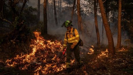 Var : incendie en cours, au moins 50 hectares brûlés