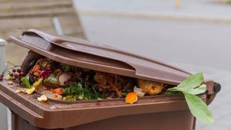 Mülltrennung: Warum ab Montag Biotonnen kontrolliert werden