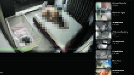 Video privati rubati e rivenduti sul web: spiati studi medici, case e spogliatoi