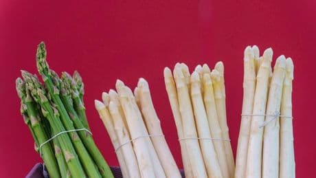 Gemüseernte: Spargelbauern bislang zufrieden mit Saison