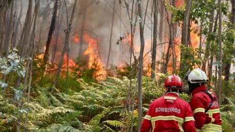 Un incendio en el norte de Portugal arrasa 4.800 hectáreas y amenaza Galicia: para los bomberos es imprevisible