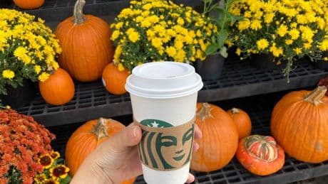 Exact date Starbucks’ Pumpkin Spice Lattes return and how to make them at home from 53p