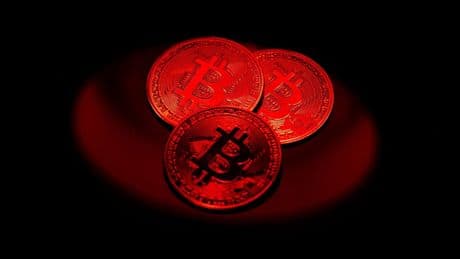 Neue Rekordmarke für Bitcoin: Kryptowährung nähert sich 114.000 Dollar
