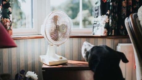 Hitze in der Wohnung: Wann Sie eine Mietminderung erreichen können