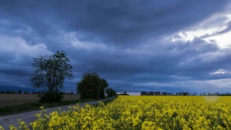 Wetter Braunschweig: Unwetter angekündigt – Hagel, Starkregen, Gewitter