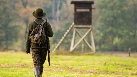 Wald: Es wird konkret mit neuem Jagdrecht - umstrittenes Projekt