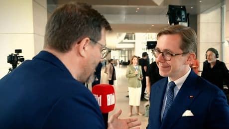 Das denken deutsche Politiker - Was ist schlimmer - Linke oder AfD?