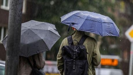 Wechselhaftes Wetter: Immer wieder Schauer in Hessen erwartet